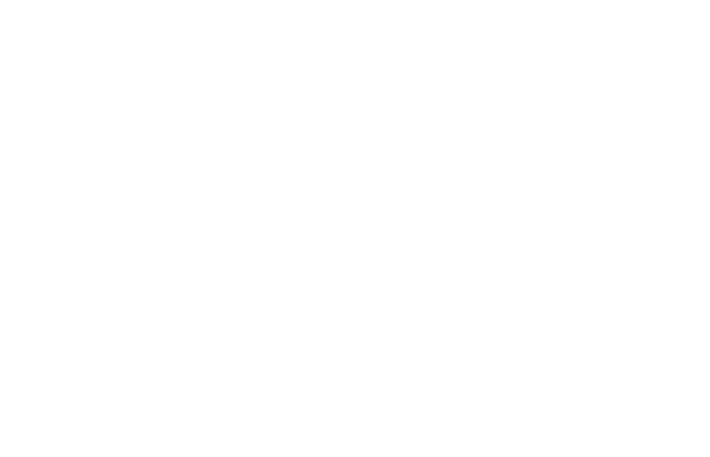 Stelvio Design